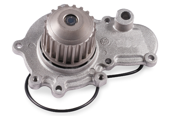 HEPU P1717 Water Pump,...
